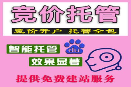 百度推广代运营的精准营销策略探讨